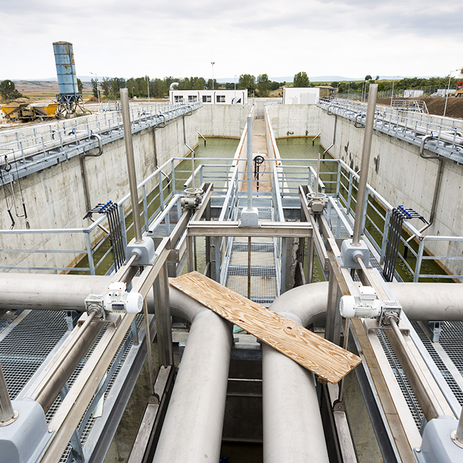 Water Plant